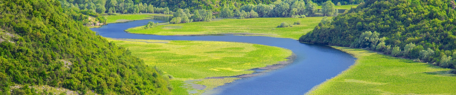 lac skadar marais