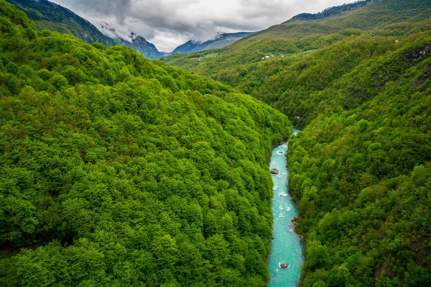 rafting-tara