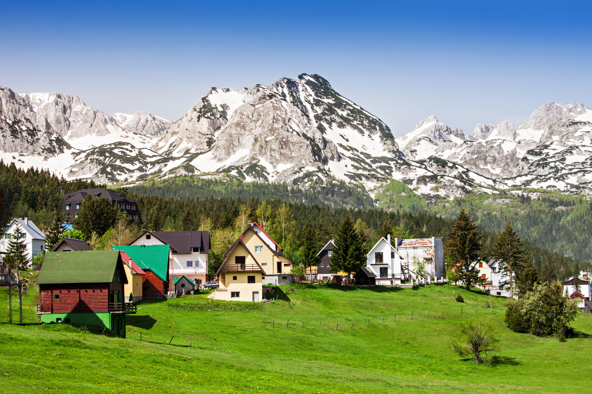 zabljak-montenegro-parc